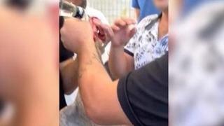 Horoza zorla içki içirip eziyet ettiler! Denizli'deki düğünde akılalmaz görüntüler... Ekipler harekete geçti