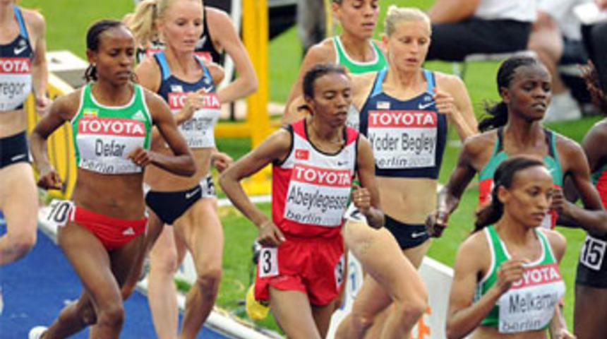 Elvan yarıda bıraktı!