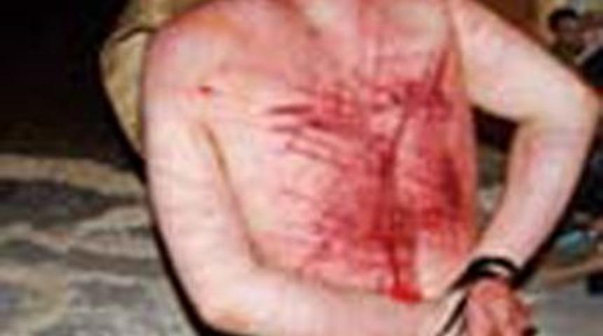 Sanat i&ccedil;in kırba&ccedil;landı!