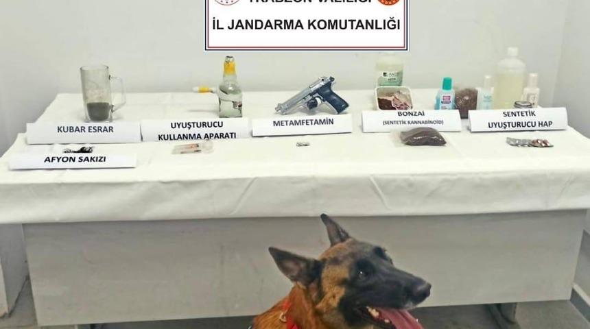 Jandarma narkotik köpeği ‘Limon’ ilk operasyonunda tespit etti