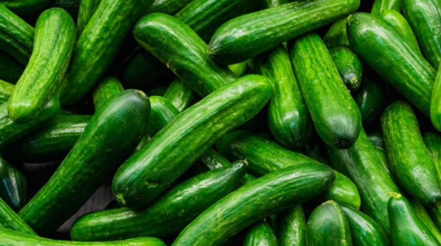 Salatalıkta salmonella salgını: 68 kişi hastalandı, 18 kişi hastaneye kaldırıldı! 'Derhal iade edin'