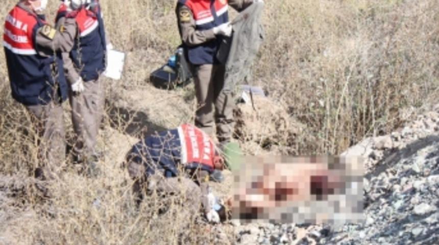 Artvin’de başı kesilmiş kadın cesedi bulundu