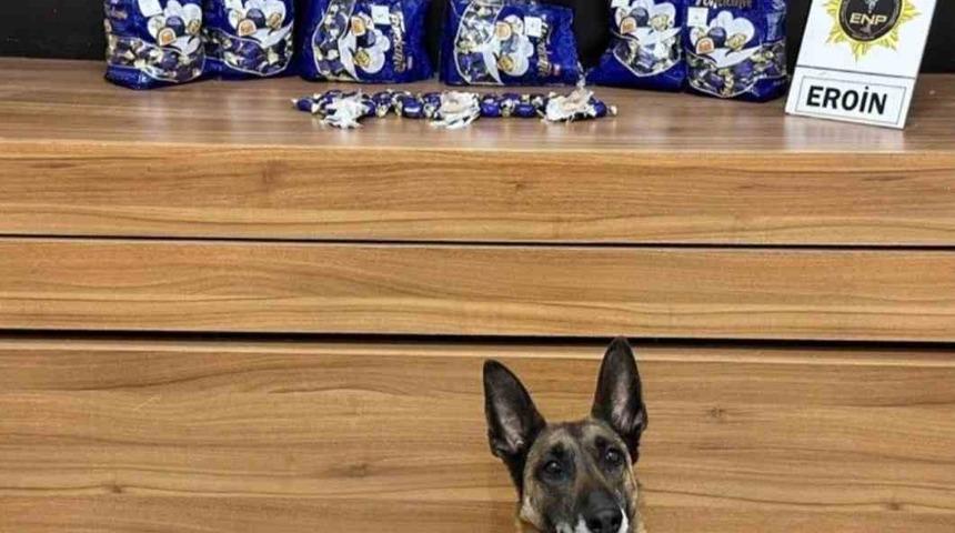Eris uyuşturucu tacirlerinin korkulu rüyası oluyor