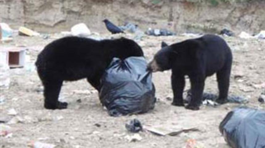 Kanada'yı karıştıran olay