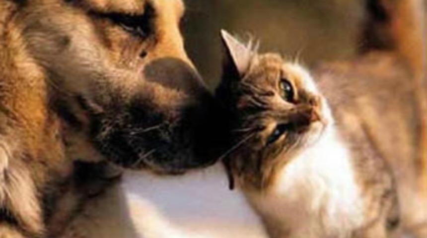 Onlarınki inanılmaz bir dostluk