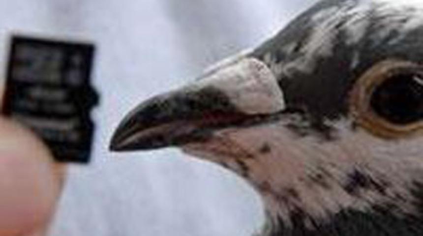 G&uuml;vercin internetten hızlı &ccedil;ıktı