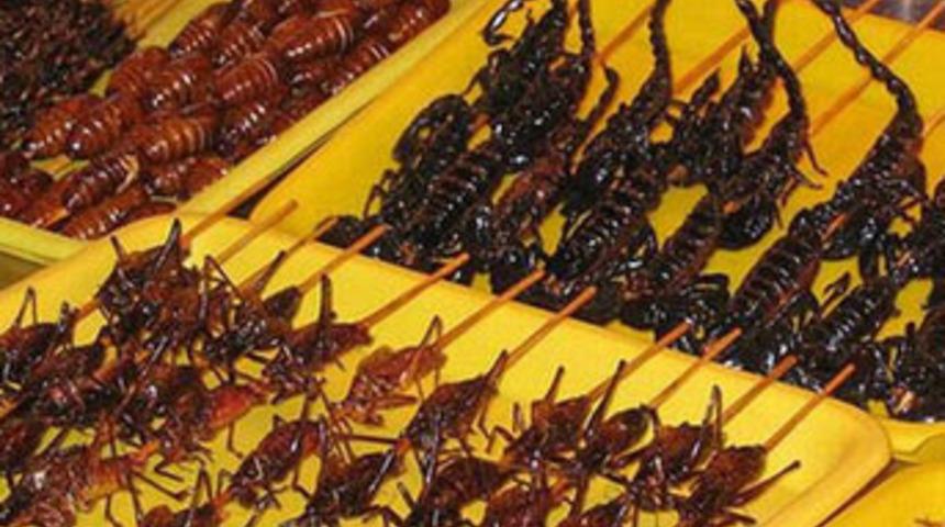 Bunları yemek mide ister