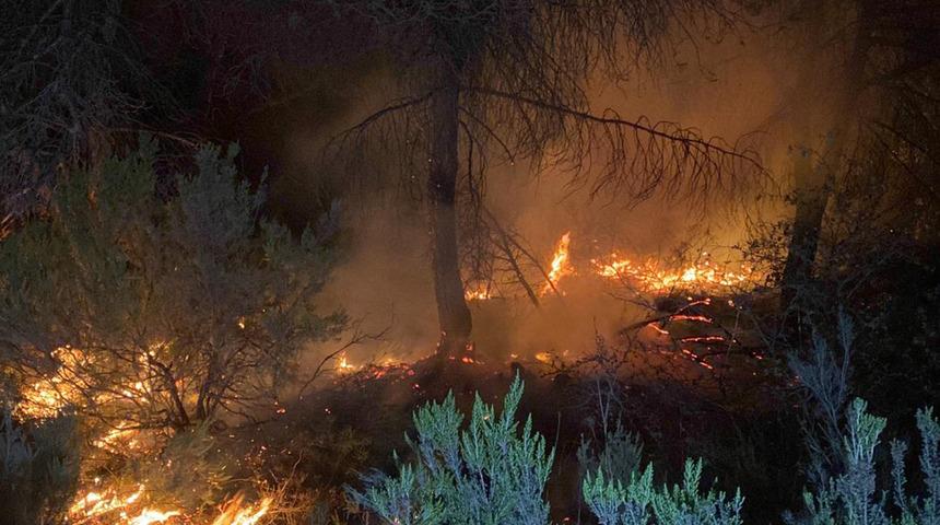 Çekmeköy’de ormanlık alanda çıkan yangın söndürüldü