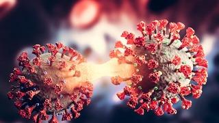 SON DAKİKA | Bakan Koca yeni gelişmeyi duyurdu! Eris varyantı Türkiye'de 9 kişide görüldü