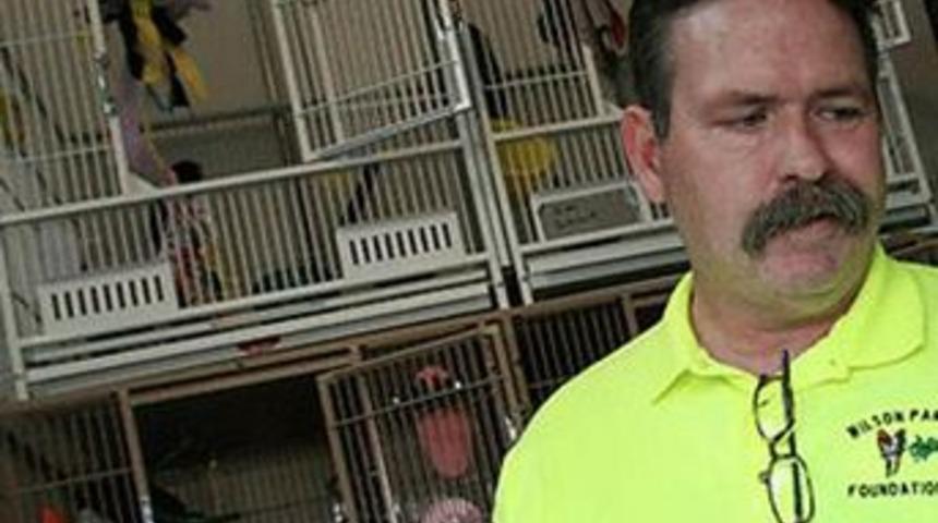 Papağanlar sayesinde yeniden konuştu