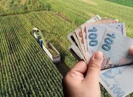 Çiftçilere bu yıl için ödenecek tarımsal destekler belli oldu! Resmi Gazete'de yayımlandı...