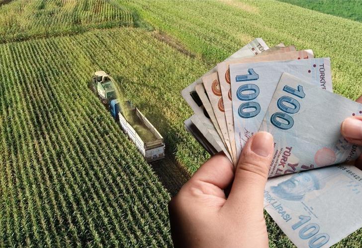 Çiftçilere bu yıl için ödenecek tarımsal destekler belli oldu! Resmi Gazete'de yayımlandı...