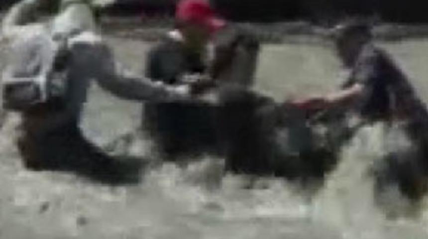 Kameraman sele kapılırsa...