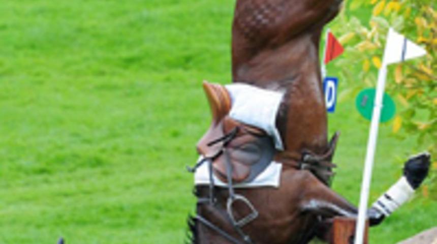 At sahibine g&ouml;re kişner