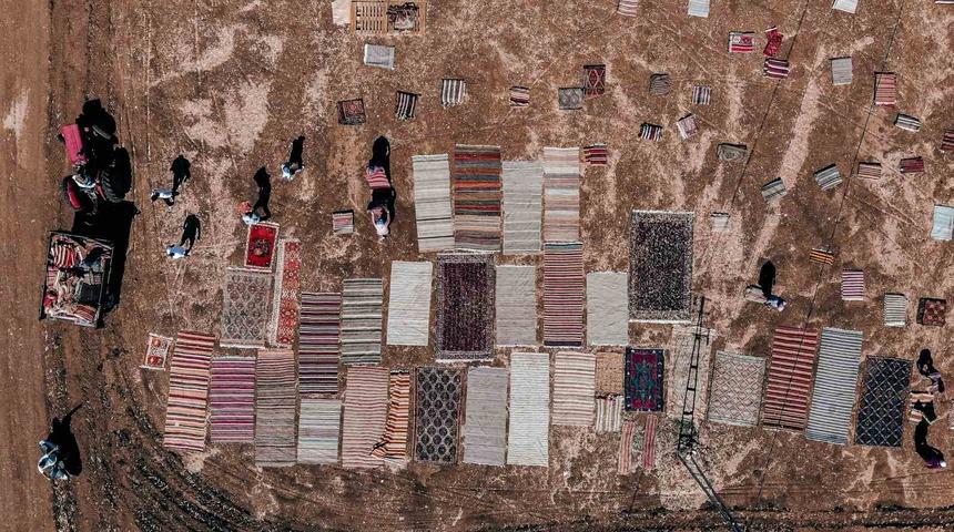 Halı tarlalarında g&uuml;neşin soldurduğu milyonluk halıların hasatı başladı