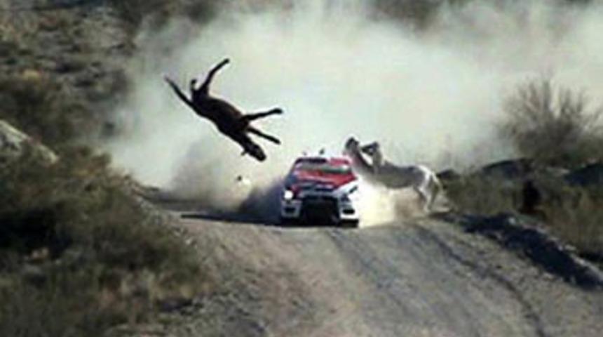 Ralli pistinde inanılmaz kaza