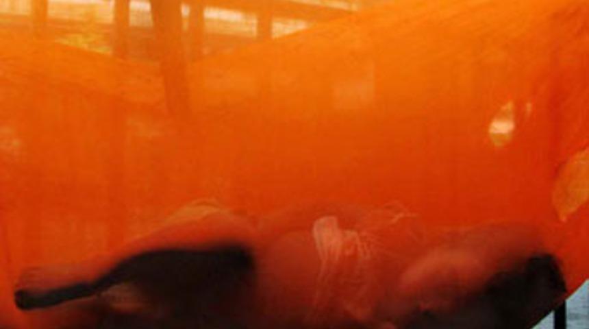 Yılın en duyarlı fotoğrafları