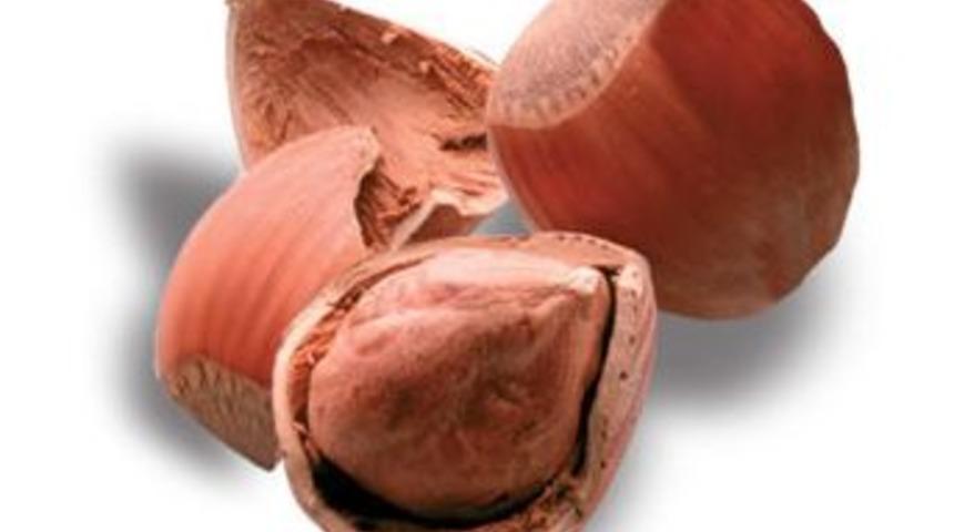 Fındık yağı alzheimeri &ouml;nl&uuml;yor