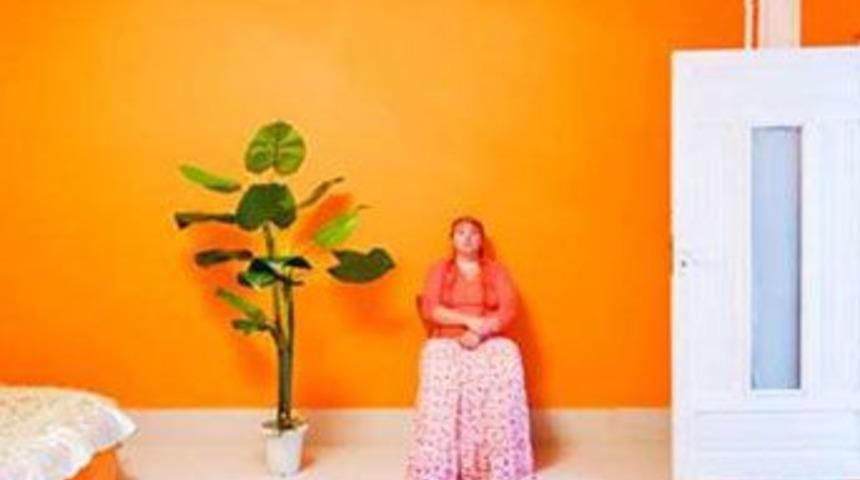 &Ccedil;ingenelerin i&ccedil; d&uuml;nyası