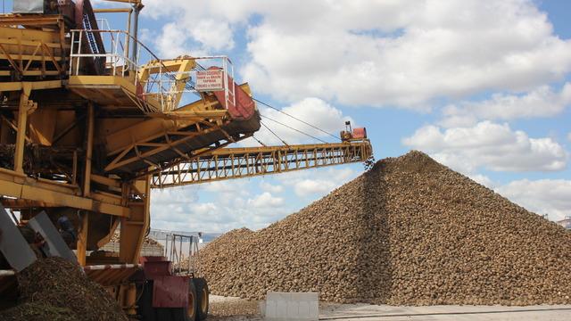Amasya Şeker Fabrikası'nda 70. pancar alım kampanyası başladı