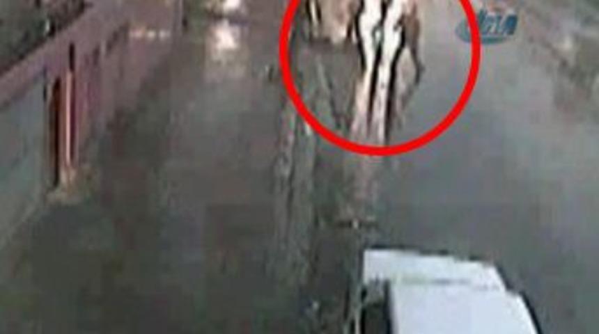 &Ouml;ld&uuml;rd&uuml;kten sonra cesedi tekmediler!