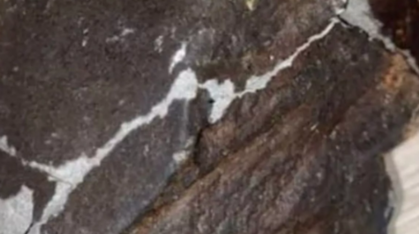 Masa kırılma sesiyle aniden uyandı! Manzaraya inanamadı... Arka bahçesine göktaşı düştü