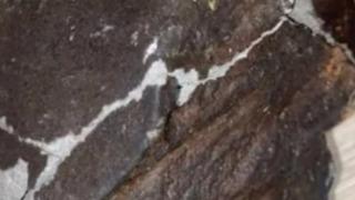 Masa kırılma sesiyle aniden uyandı! Manzaraya inanamadı... Arka bahçesine göktaşı düştü