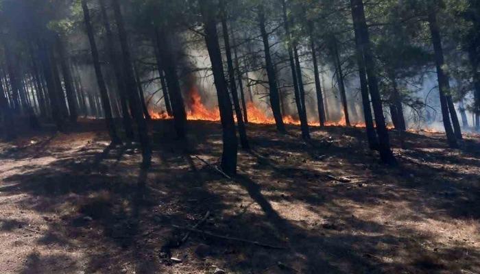 Ankara, Bolu ve İzmir’de orman yangını! Hızla büyüyor…