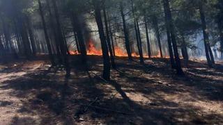 Ankara, Bolu ve İzmir'de orman yangını! Hızla büyüyor...