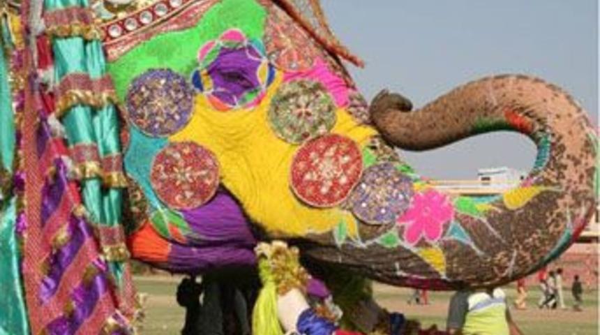 Sıradışı bir festival: "Fil festivali"