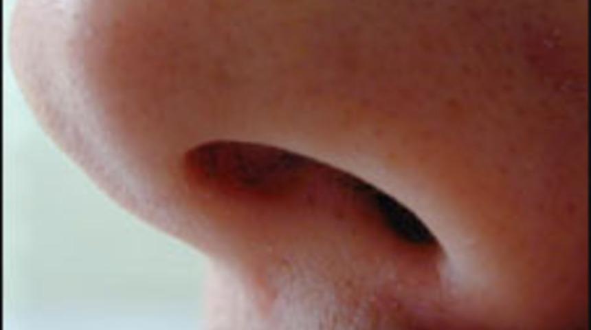 Fel&ccedil;li bireyler koku yoluyla iletişim kurabilecek