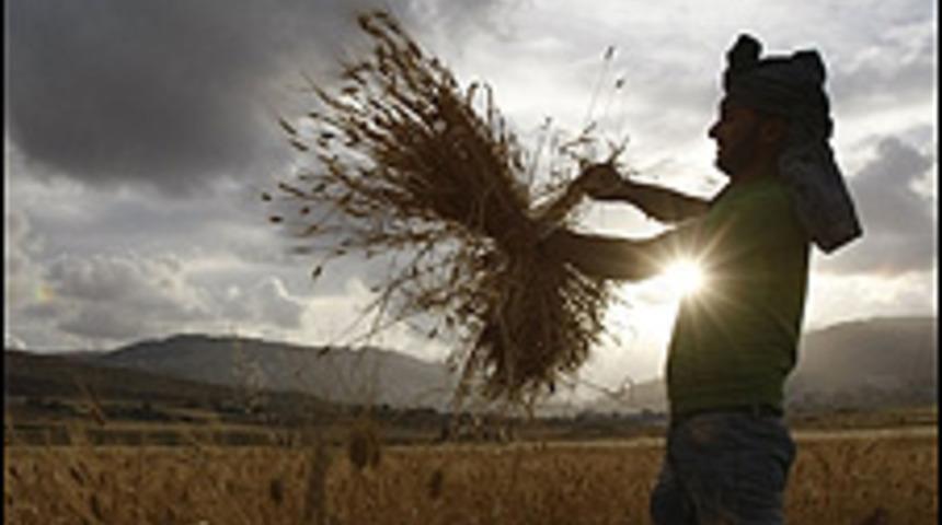 BM komisyonundan İsrail'e sert eleştiri