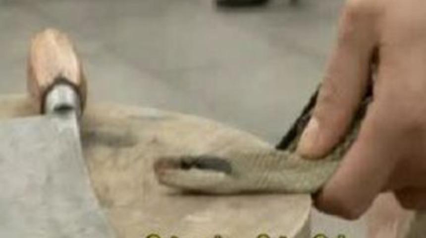 Bu da &Ccedil;in'in 'Yemekteyiz'i!