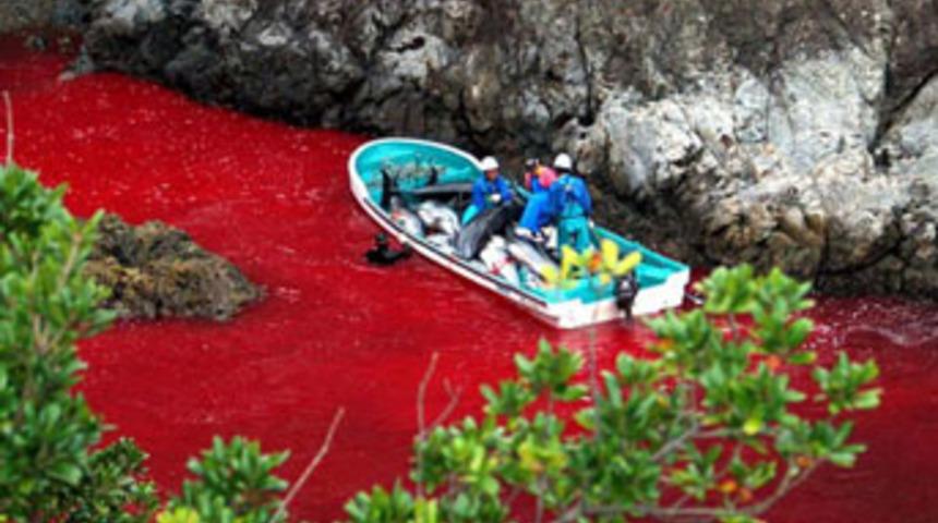 D&uuml;nya bu katliama seyirci kalıyor