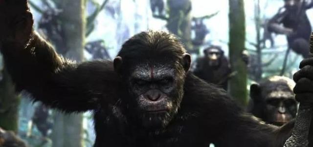806x378-maymunlar-cehennemi-baslangic-rise-of-the-planet-of-the-apes-filminin-konusu-nedir-oyunculari-kimler-1662376418502