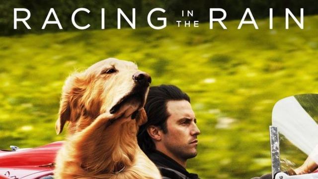 Enzo: Yağmurda Yarış Sanatı konusu ve oyuncuları! Enzo: Yağmurda Yarış Sanatı filmi konusu nedir, oyuncuları kimler? TRT1 yayın akışı