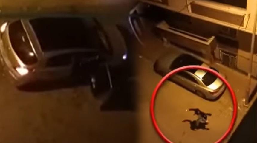 Yer: Esenyurt! Çığlıkları mahalleyi ayağa kaldırdı: 'İmdat... Bırak beni'