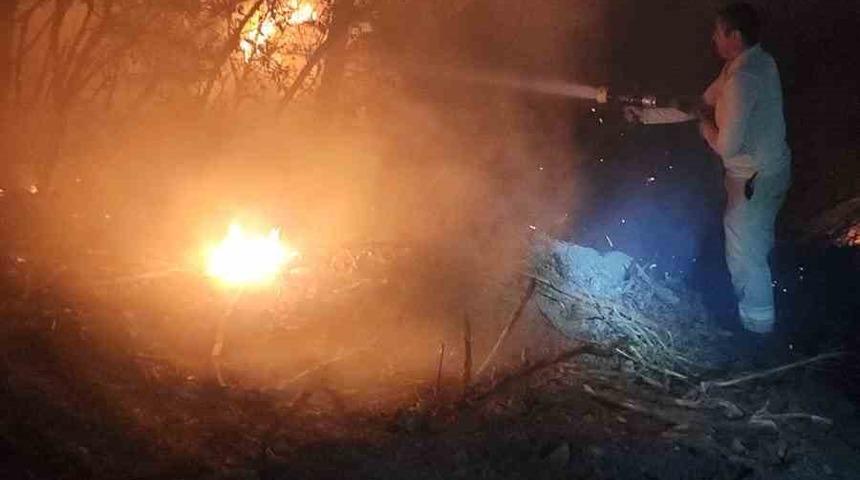 İzmir’de ormanlık alanda yangın