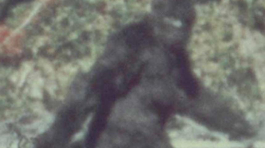 Rusya'da uzmanlar 'kocaayak' arayacak