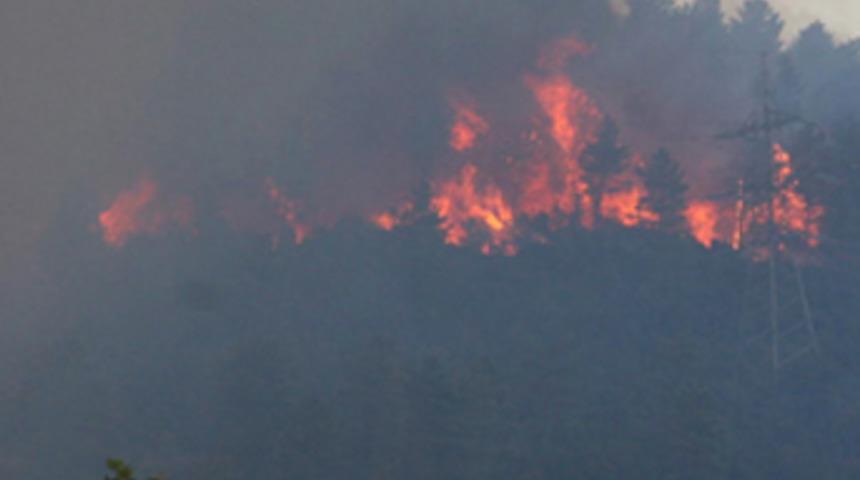 T&uuml;rkiye'nin ciğerleri yanıyor