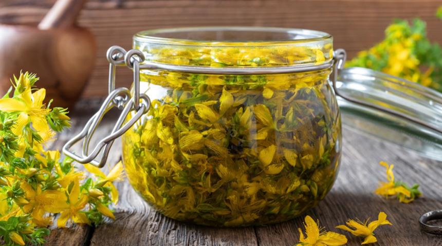 Mide için kantaron yağı nasıl kullanılır? Kantaron yağı mideye iyi gelir mi?