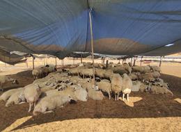 Maaşlar artsa da... 'Aylık 40 bin TL veren var ama bulamıyoruz' Dolgun maaşlı bu işin ilgi görmemesinden yakınıyorlar