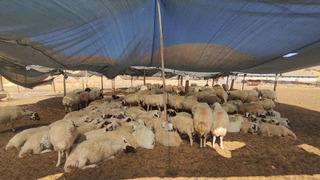 Maaşlar artsa da... 'Aylık 40 bin TL veren var ama bulamıyoruz' Dolgun maaşlı bu işin ilgi görmemesinden yakınıyorlar