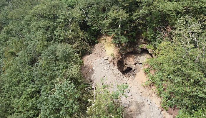 Ormandaki mağara çukurları ve yolu görenler veryansın etti: Ekipler sorumluların peşine düştü! “Garibanın evine yol yapın desek yapmazlar”
