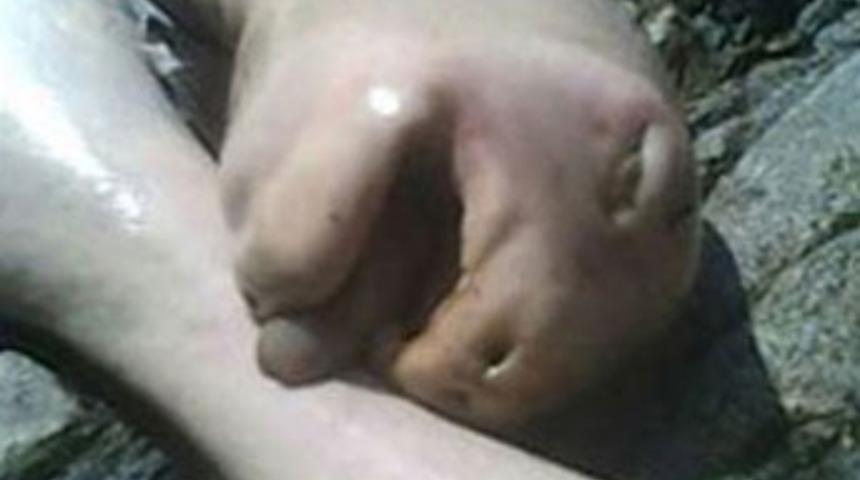 Bu nasıl bir yaratık?