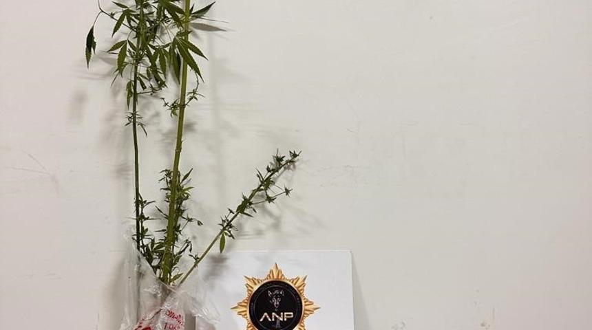 Ardahan&rsquo;da uyuşturucu operasyonu