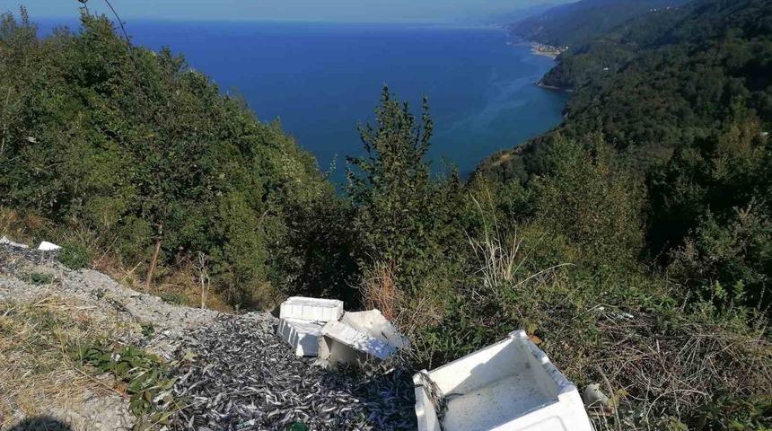Kasalar dolusu balıkları yol kenarına attılar