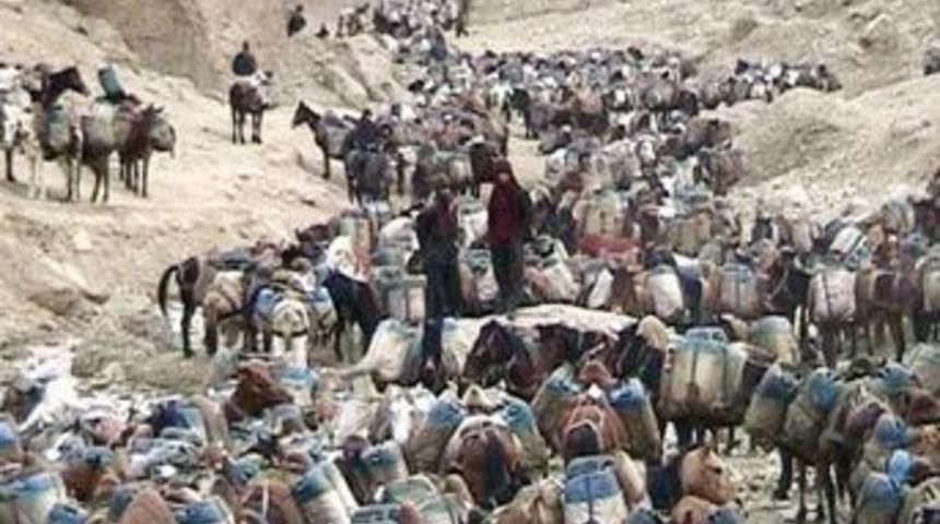 Ka&ccedil;akta sınır yok!