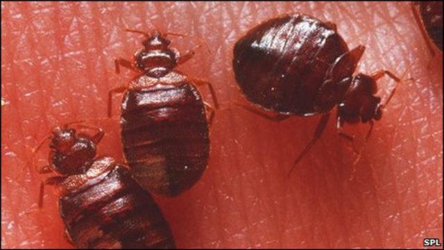 Dünyayı saran büyük tehdit!