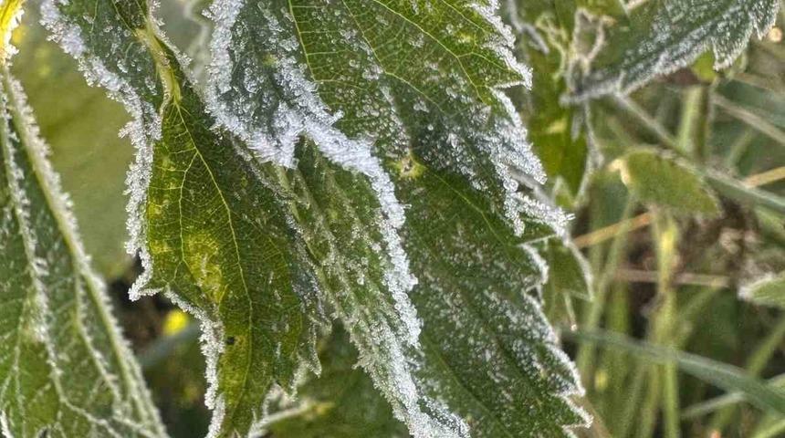 Ardahan’da sıcaklık sıfırın altına düştü